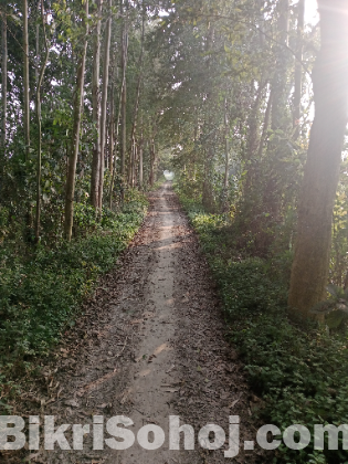 আমি কৃষি জমি বিক্রয় করতে চাই